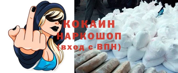 a pvp Бородино