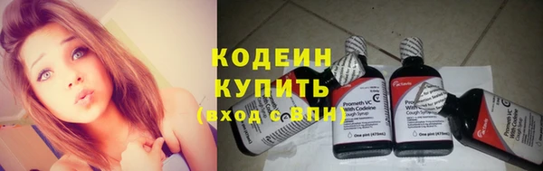 a pvp Бородино