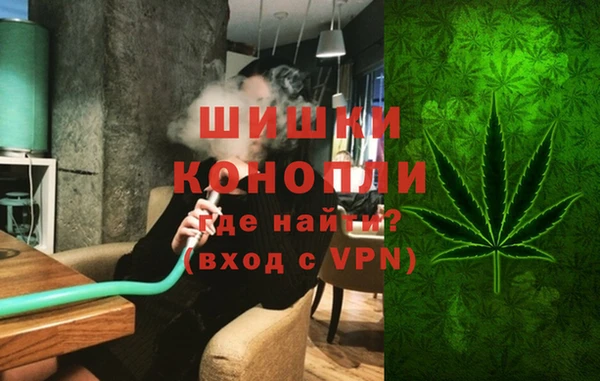 a pvp Бородино