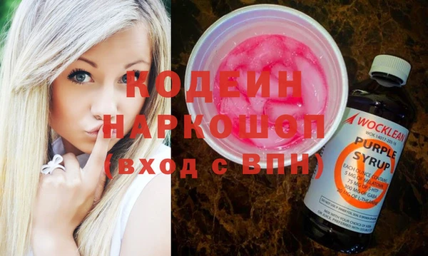 a pvp Бородино