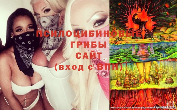 прущий лед Бронницы