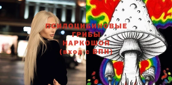 a pvp Бородино