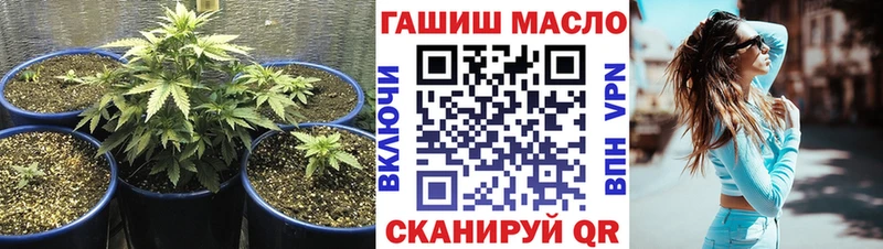 Дистиллят ТГК гашишное масло  Грайворон 