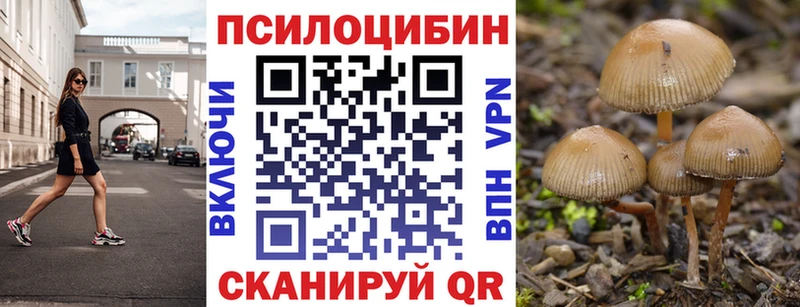 mega сайт Грайворон Псилоцибиновые грибы Psilocybe